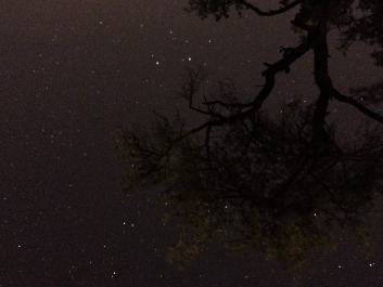 Lights_0001_20200421_003132