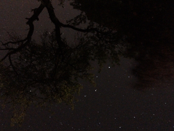 Lights_0019_20200421_002757