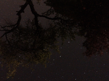 Lights_0014_20200421_002640