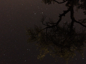 Lights_0005_20200421_003233