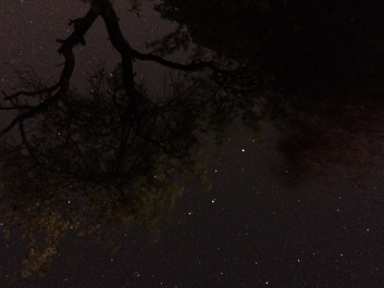 Lights_0012_20200421_002609