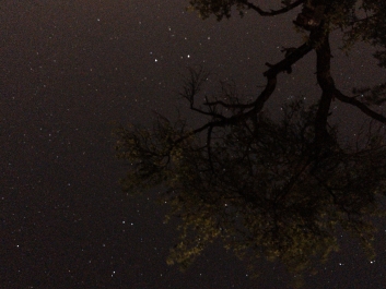 Lights_0010_20200421_003350