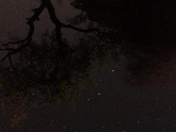 Lights_0001_20200421_002320