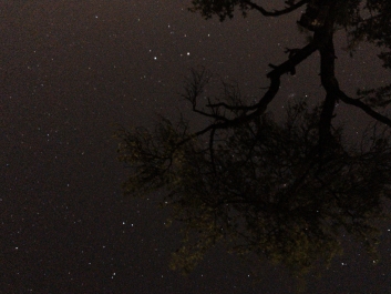 Lights_0020_20200421_003624