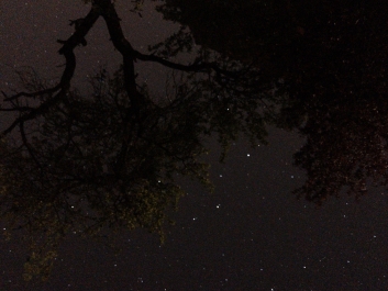 Lights_0003_20200421_002351