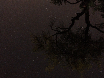 Lights_0002_20200421_003147