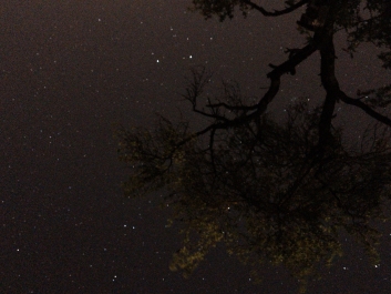 Lights_0011_20200421_003406