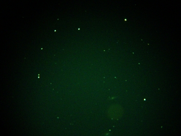 Lights_0001_20200423_214849-M65