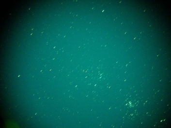 Lights_0001_20200423_214115